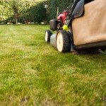 2017年购买草坪护理保险的最终指南