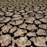 美国12所最受干旱威胁的大学校园