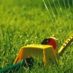 北卡罗来纳州夏洛特春季草坪护理快速指南