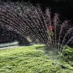 在沃斯堡给草坪浇水的5个技巧