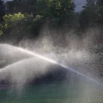 密苏里州堪萨斯城每个季节的草坪浇水小贴士