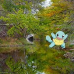 奥斯汀的7个风景如画的地方Pokémon去