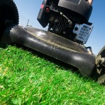 夏季草坪护理在一英里高的城市3个基本提示