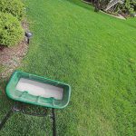 9个关于给草坪施用起始肥料的常见问题