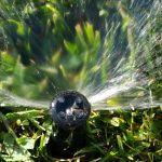 提醒:明尼阿波利斯草坪节水小贴士