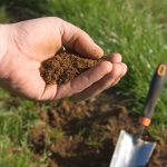 abc的pH值:为什么，如何和何时土壤测试你的草坪