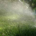 在俄亥俄州辛辛那提市给草坪浇水的5个技巧