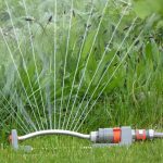 在马里兰州巴尔的摩给你的草坪浇水的3个技巧