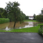 帮助草坪从洪水破坏中恢复的提示