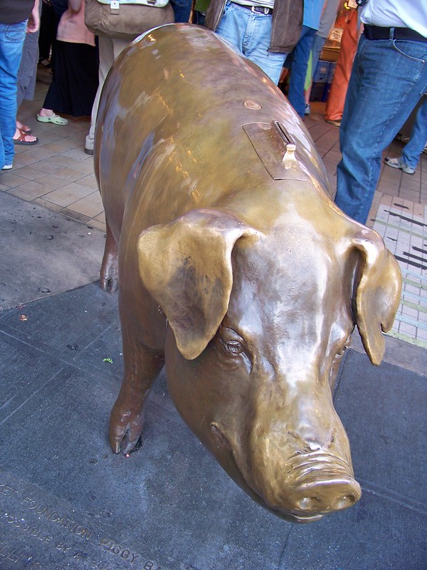 猪雕像瑞秋
