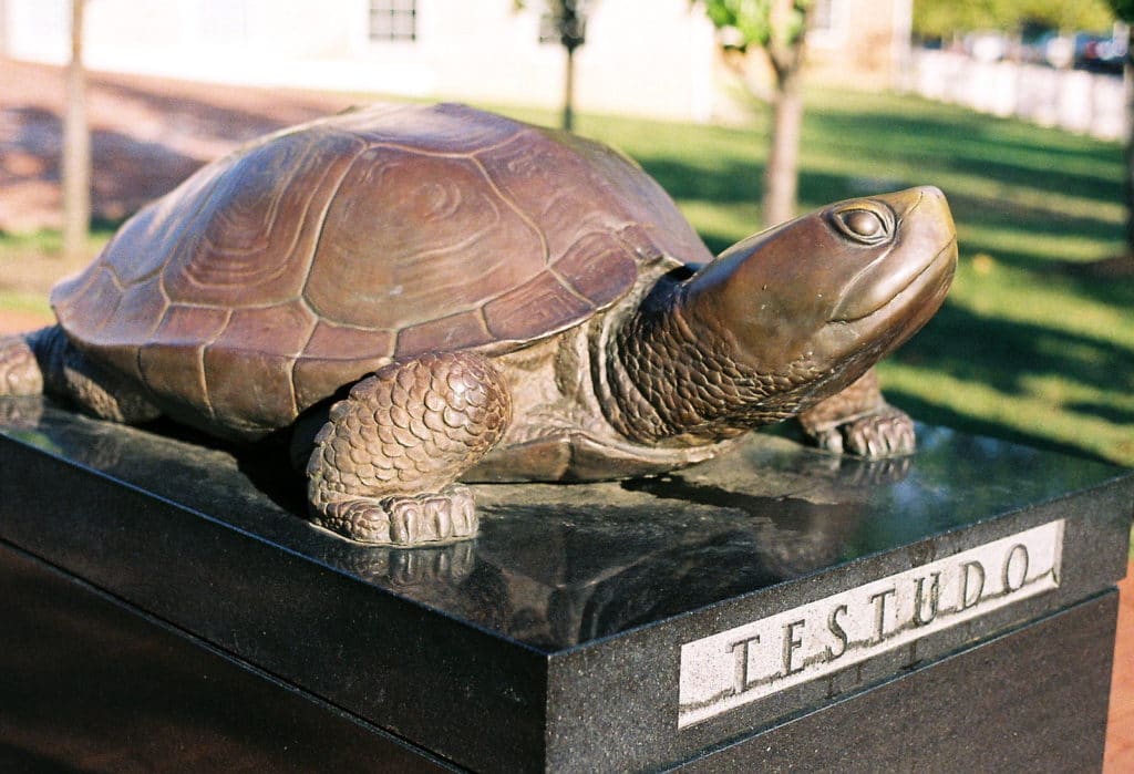 水龟雕像