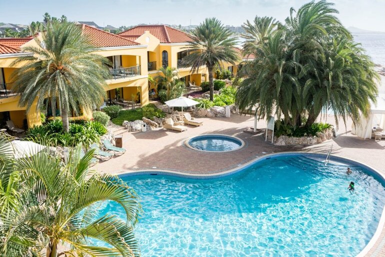 度假胜地后面的游泳池和热水浴缸，有一丛棕榈树遮荫