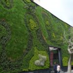 绿色墙壁:如何创造一个活生生的景观(或墙景)