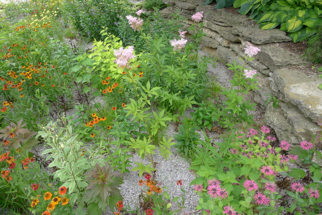 用五颜六色的花和岩石作为护根物浇灌花园
