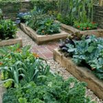 如何建造你自己的花园花圃