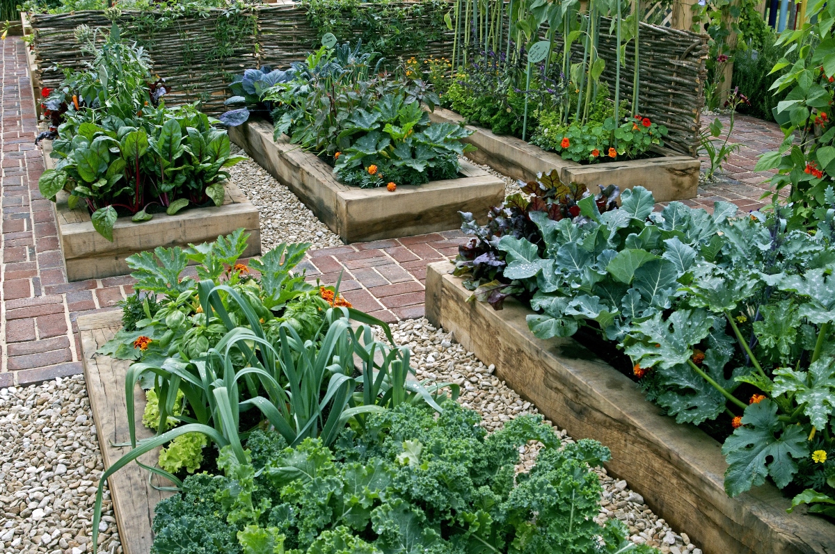 高架花园蔬菜床