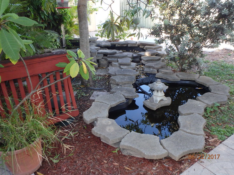 后院用石头做的池塘