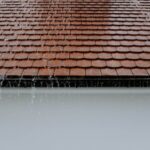 定价指南:屋顶清洁费用是多少?