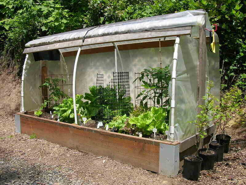 手工制作的凸起花园床，有一个保护和产生温室效应的盖子