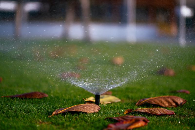 一个近距离的洒水喷头在草地上与叶子