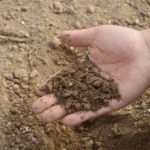 土壤类型指南:优点，缺点和植物建议
