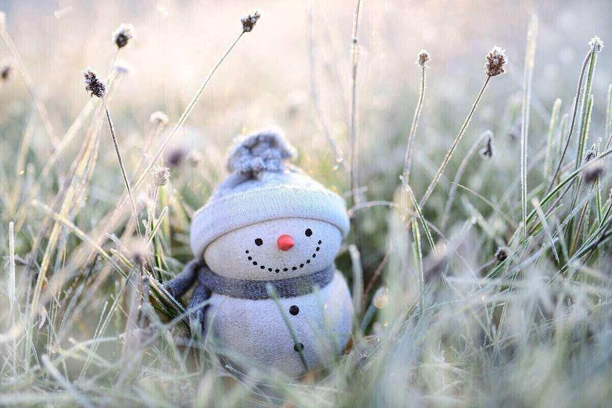 单小雪人雕像在霜覆盖的草地
