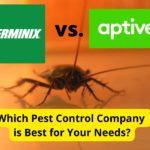 Terminix vs. Aptive Environmental:害虫防治公司比较