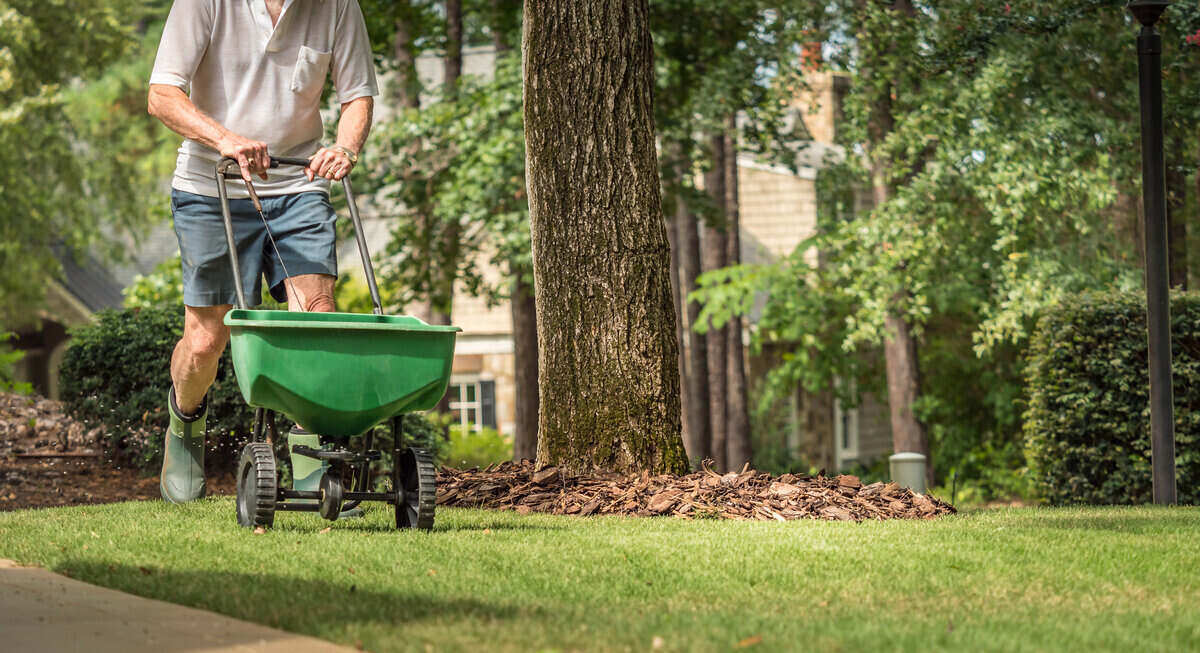 一名男子用施肥机在草坪上施肥