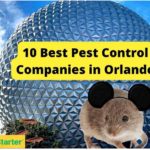 奥兰多10家最佳害虫防治公司