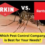 Orkin vs. Rentokil:害虫防治公司比较