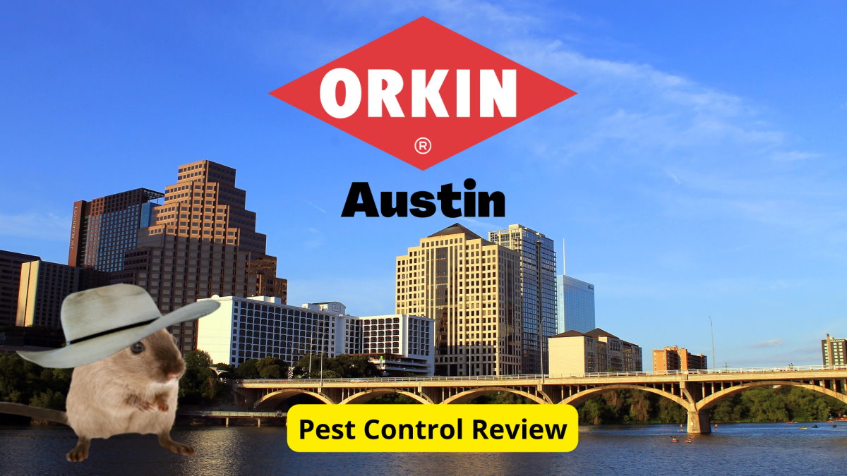 文本:奥金奥斯汀害虫防治评论|背景图片:奥斯汀城市景观|图片:戴牛仔帽的老鼠