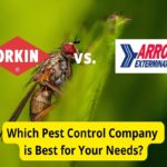 Orkin vs. Arrow灭虫公司:害虫控制公司比较