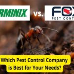 Terminix vs. Fox害虫防治:害虫防治公司比较