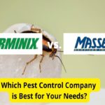 Terminix vs. Massey Services:害虫防治公司比较