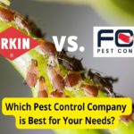Orkin vs. Fox害虫防治:害虫防治公司比较