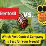 Rentokil vs. Truly Nolen:害虫防治公司的比较
