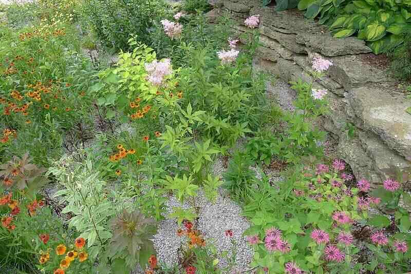雨花园用五颜六色的花和岩石作为护根物