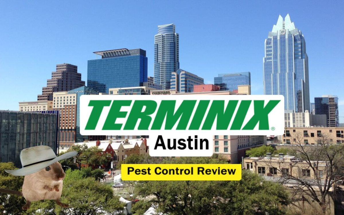 文字:Terminix Austin害虫控制评论图片:Austin Skyline