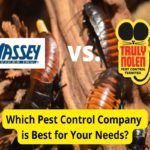 Massey Services vs. Truly Nolen:害虫防治公司比较