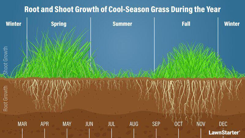 Cool Season Growth