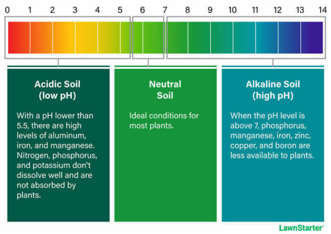 土壤pH值更新