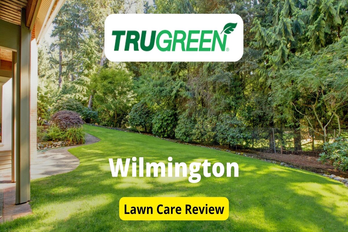 文字:威尔明顿的特鲁格林|背景图片:房子前的草坪