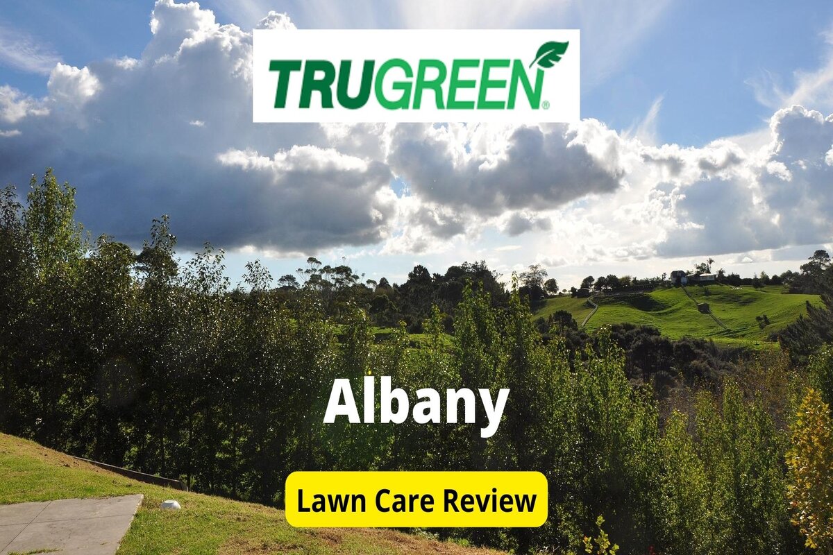 文本:Trugreen in Albany Review |背景:Crepuscular Cloud Albany