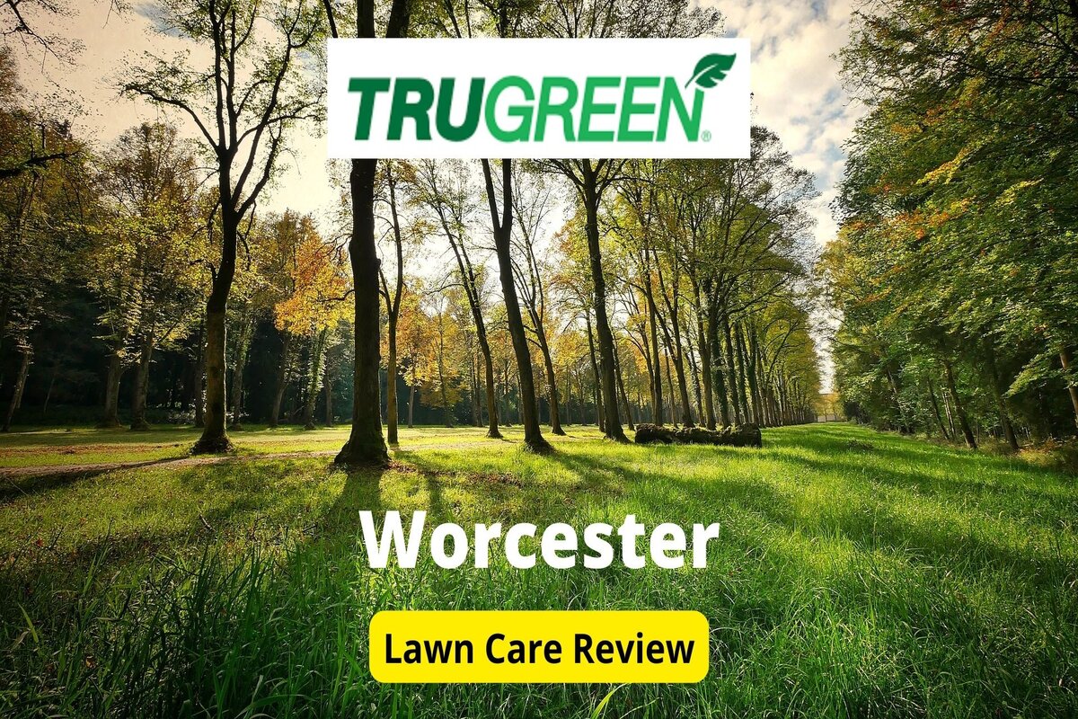 文本:Trugreen in Workcester review |背景图片:Trees Park Nature