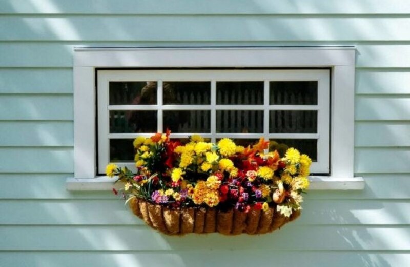 一个装有美丽花朵的窗框