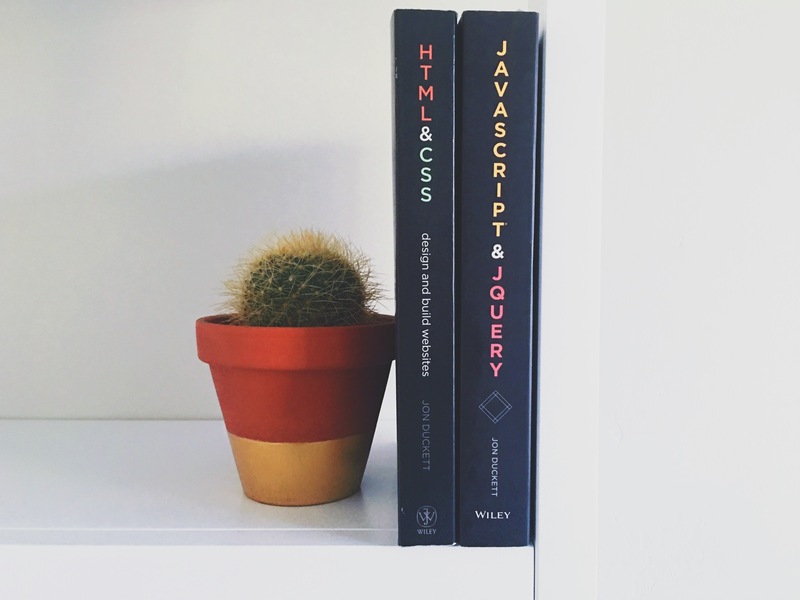 一个书架，旁边放着一棵植物。
