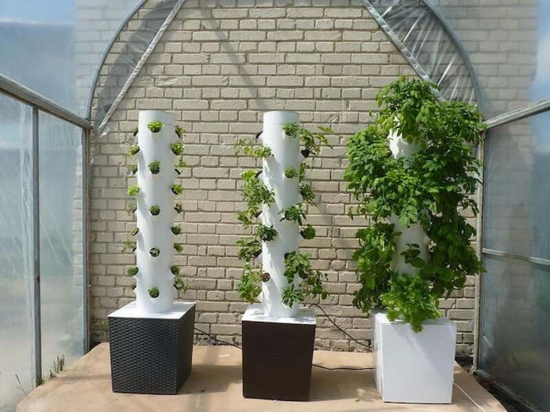 一个空气栽培花园
