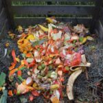 什么是废料园艺和如何开始?
