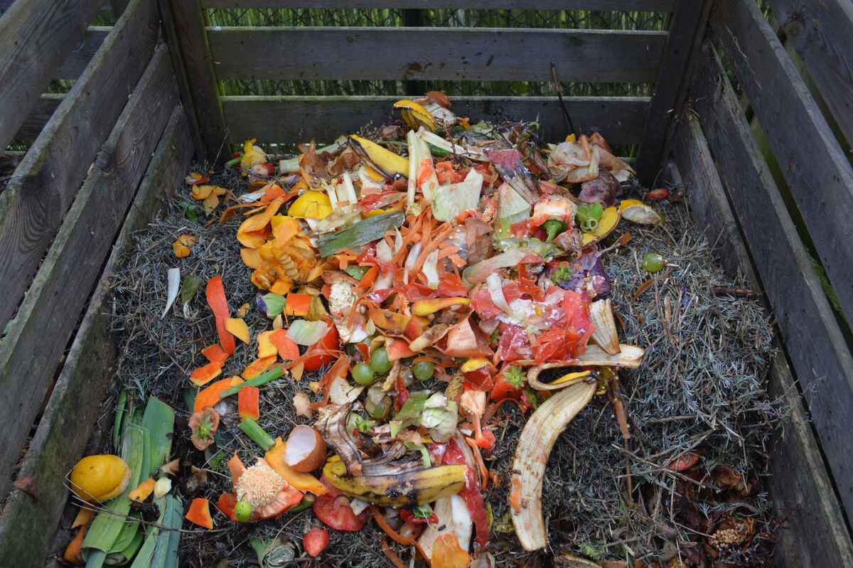 food compost